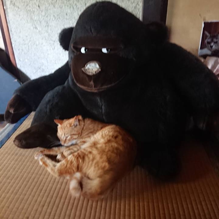 189ecb90 054c 4e6f a57c 0649ef4cbb6e 1663136883534