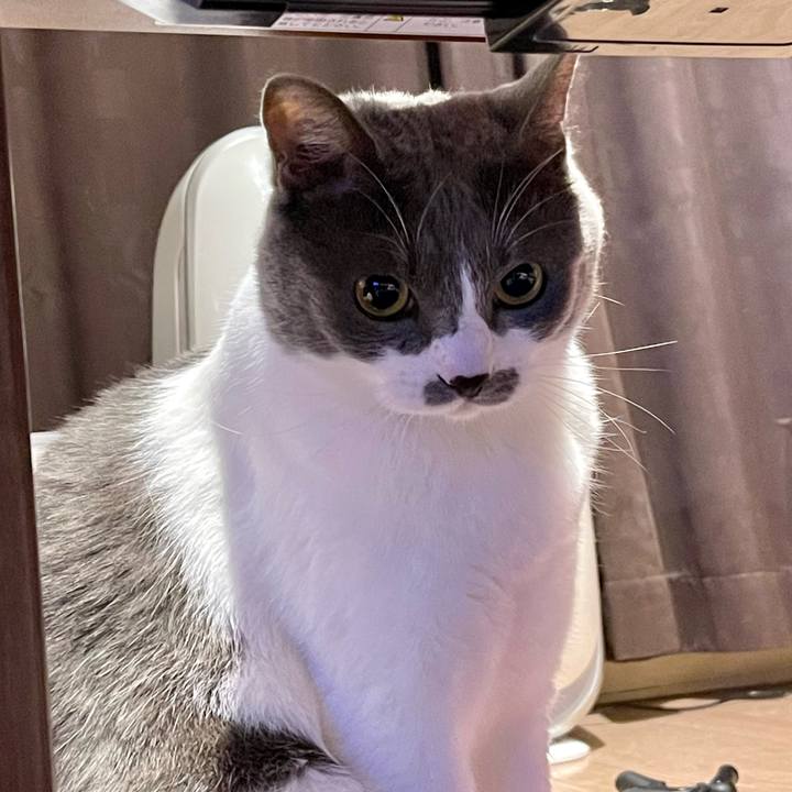 189eeb7c 2b69 4379 a19d 67b8e5962f35 1657368633524