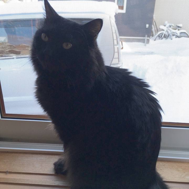 189ef031 5962 41ff bb63 a439212d16af 1515734493549