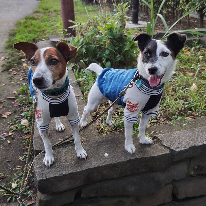 189f0967 63dc 4c1b 9beb 215b4de1d9f9 1726610772340