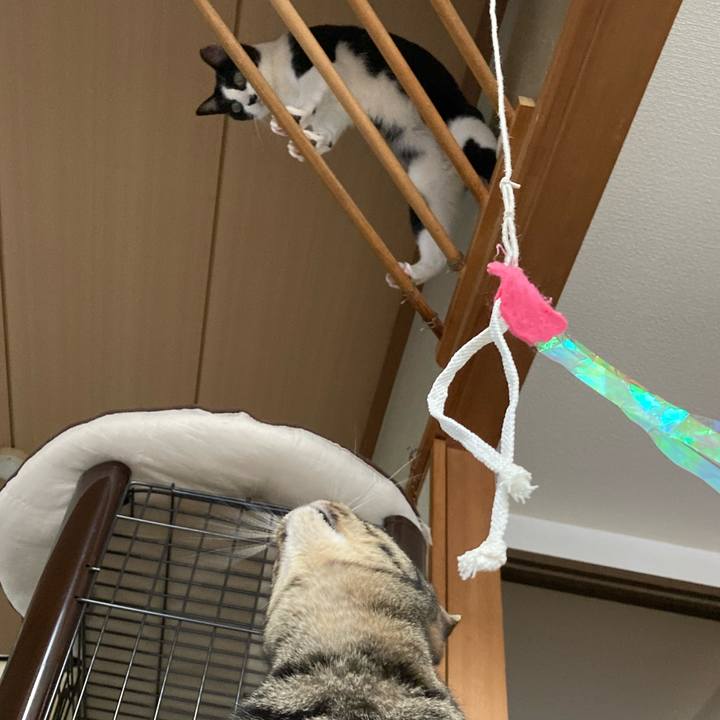 189f52f0 0655 444d a318 88fcd4e3d3b0 1635401293293