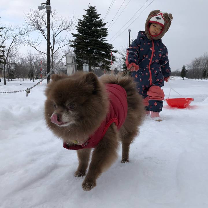 189fde81 4ed6 4ec6 bea7 96a70e37a40a 1546745954592