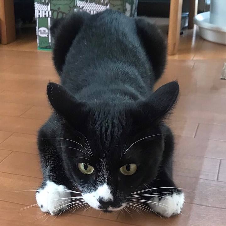 189ffa5d 1480 4d2a 8c94 9aed4dd4ea25 1633491083208