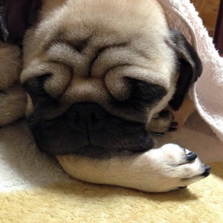 18a0047e a99e 44b5 b673 c412ba1611b8 1508297162389