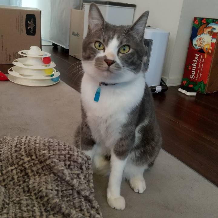 18a02741 17e4 4d9e 9a90 2387e29a2939 1611559502077