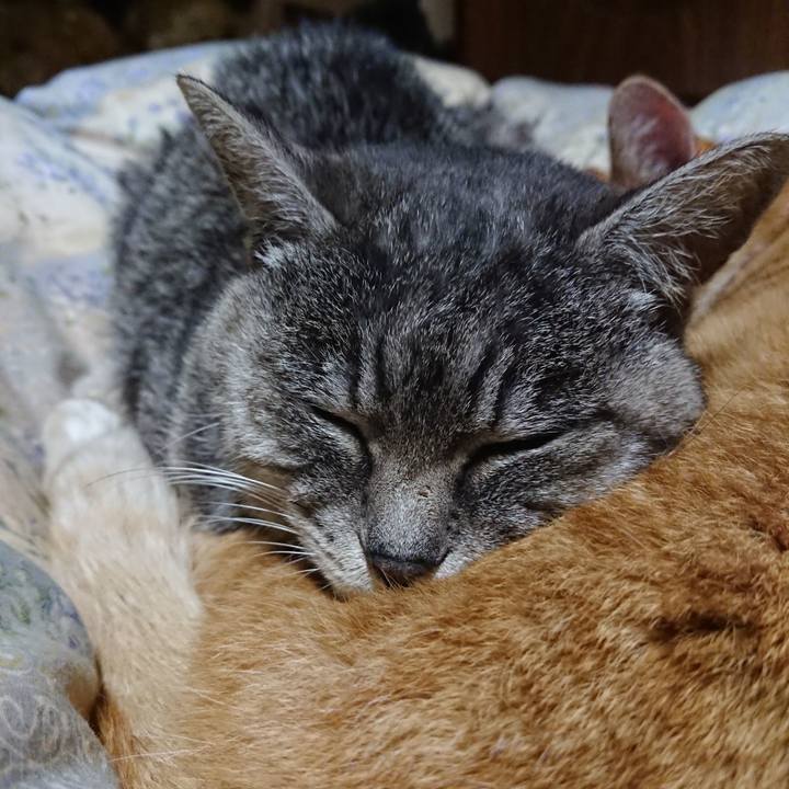 18a04451 414d 4b12 8c26 d423c8e93125 1575981115862