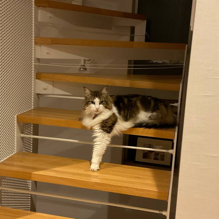 18a0798f e8d0 4ef9 b25d 325e1c438d16 1733819570034