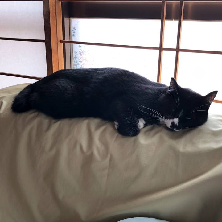 18a08579 69aa 431b bb6e 36ae43225a8e 1588908121965