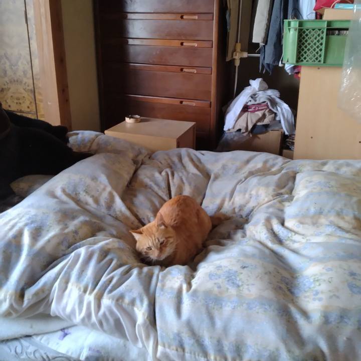 18a09dd7 a36f 4194 8778 55a9b84547b3 1666596855542