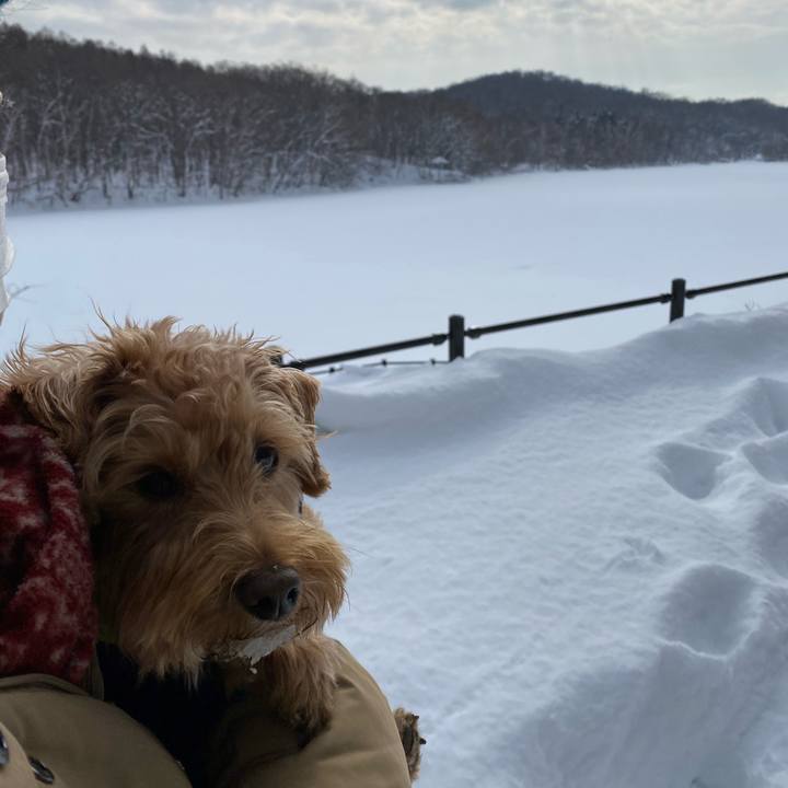 18a0b8a6 66d8 4bc4 a089 ab1ae34dcb33 1642569190423