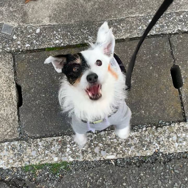 18a0c390 6331 486b bd04 8efbc2224bfe 1712390637786