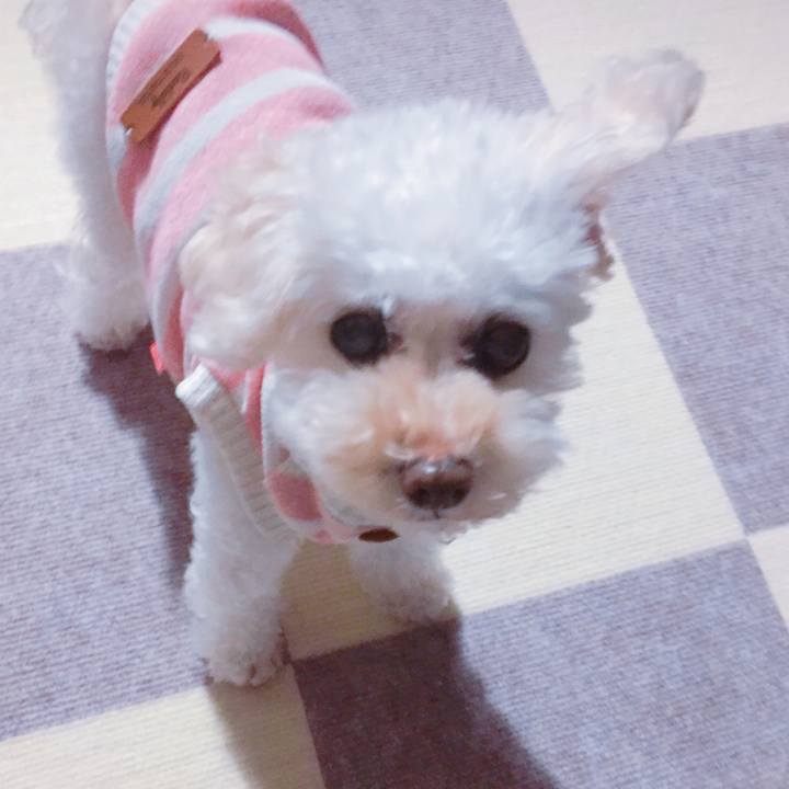 18a1037e 7633 4dd0 814f 9e44ddd72746 1540283413192