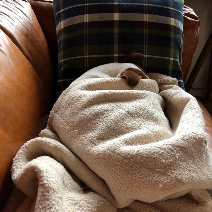 18a12798 141a 44fe 8a33 91f89a5085c0 1548032830412