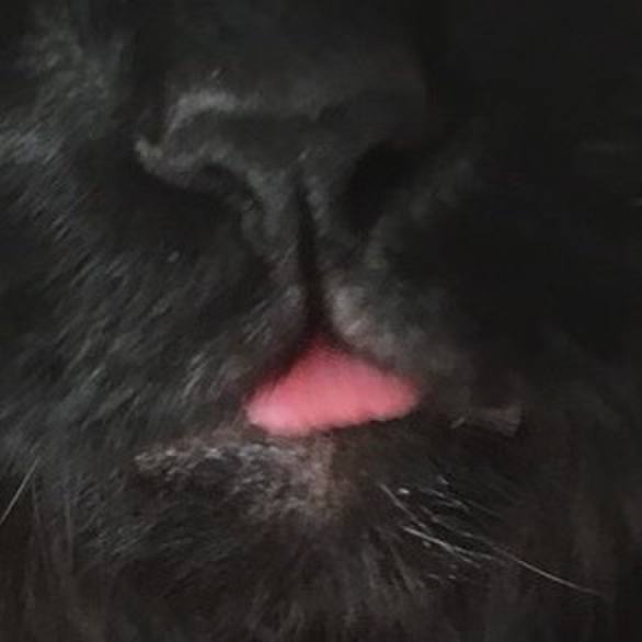 18a14876 6ac4 4bed b02c 9fec5574ee1d 1528623773823