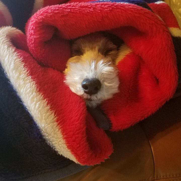 18a17df0 8fe4 49b7 8fa8 81819adc1d64 1547556827497