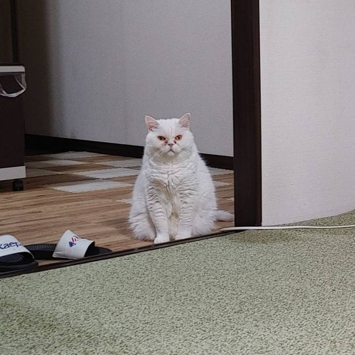 18a1896d c37d 4b9e b6cf 47c212ce9a0c 1730286718991