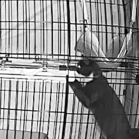 18a19a18 fec2 4d07 8500 2b2037075c32 1762806514603