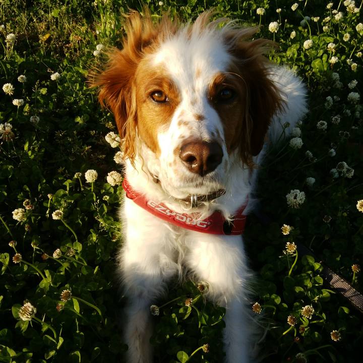 18a1af64 bbc7 4700 8127 a8075a50435e 1525695520438