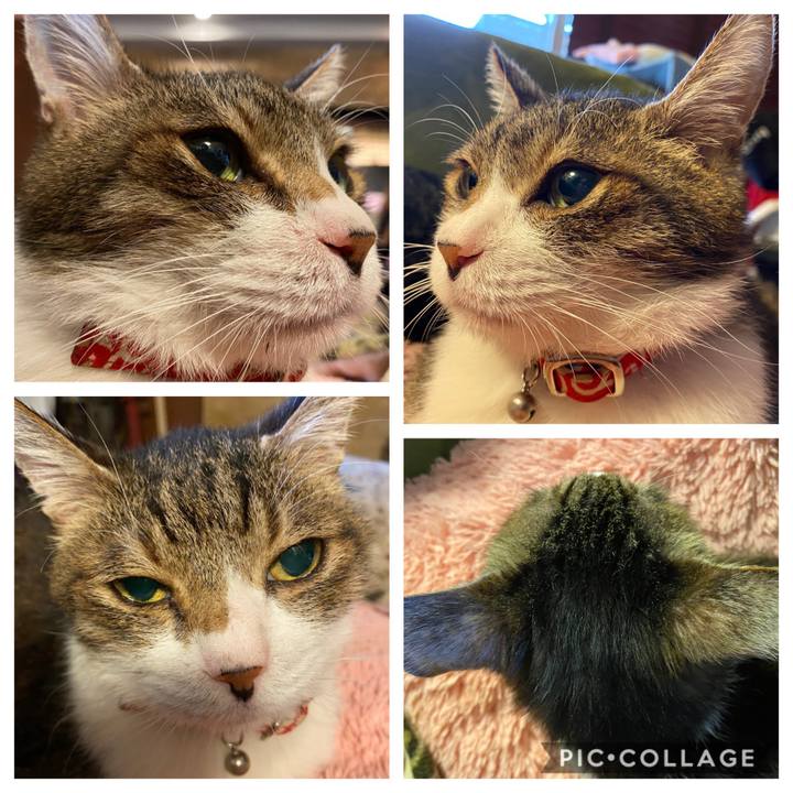 18a1be9f 1720 4571 8665 860b5a1de4fc 1585371057215