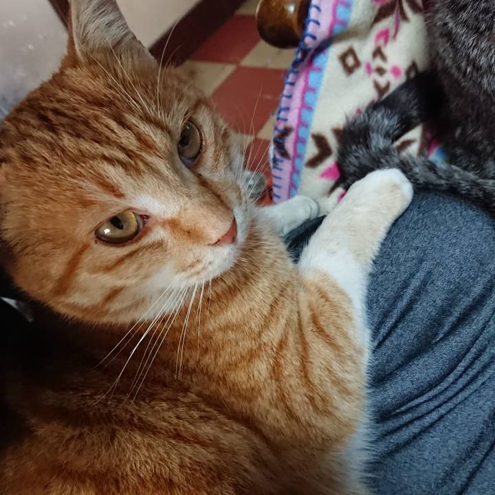 18a1c4f0 13a7 4bdf a598 f343a012d40a 1584675131008