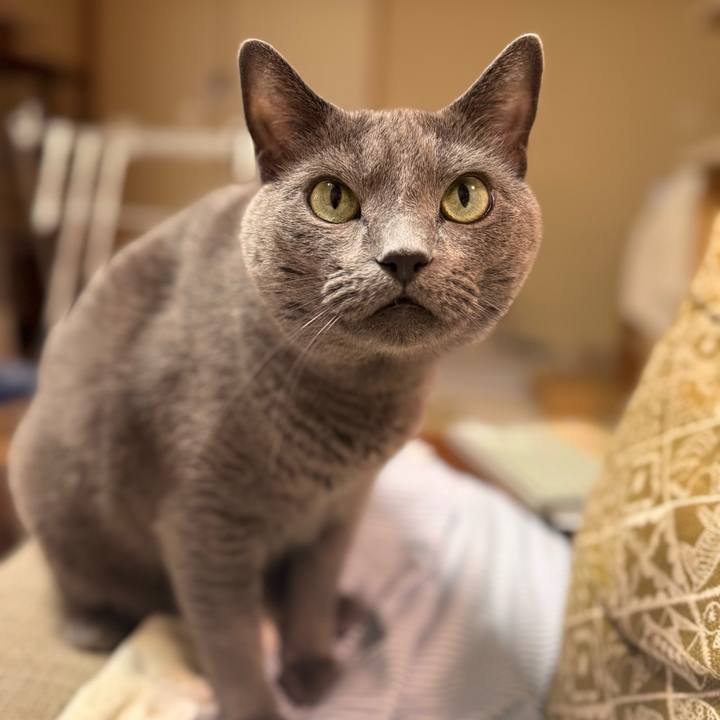 18a1d769 61f8 41e8 b7c6 e676595507e6 1758285880711