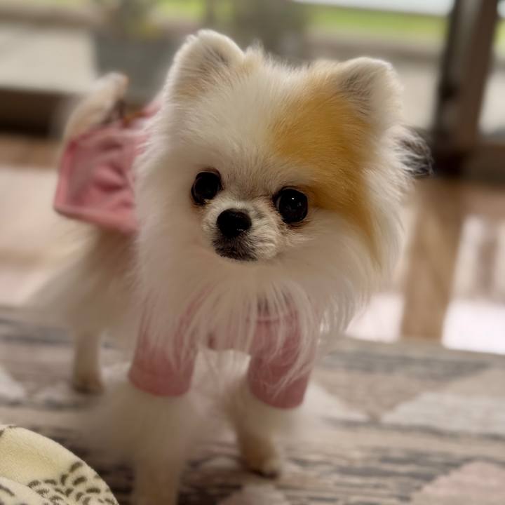 18a20cdf b6ac 4976 a710 cdae38f86366 1762405074866