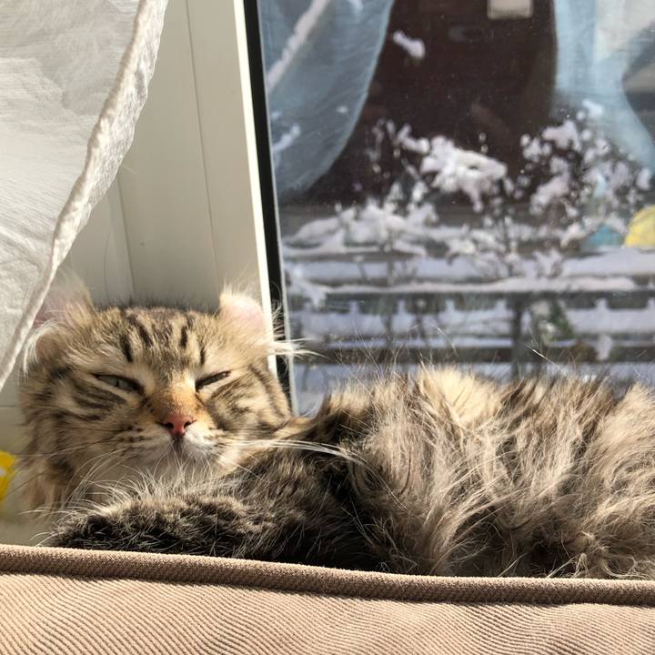 18a2109b 7f0f 4b25 a05f 628d3d3eb360 1543627492847