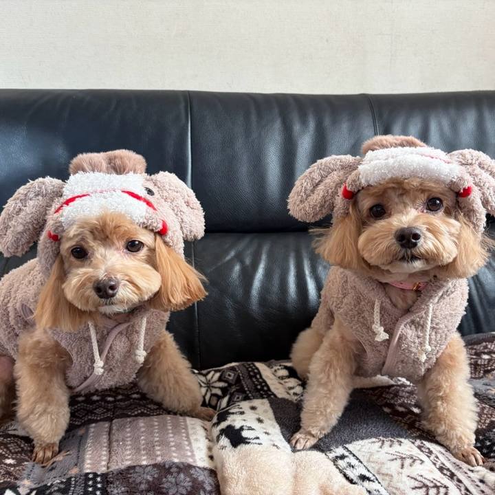 18a2279a 865e 4748 b1ce c9b2d957664b 1764471856190