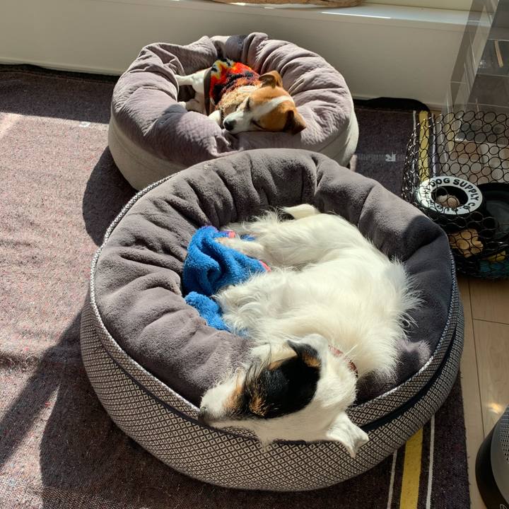 18a2568f 4183 469a a478 ef202e28d002 1612757142607