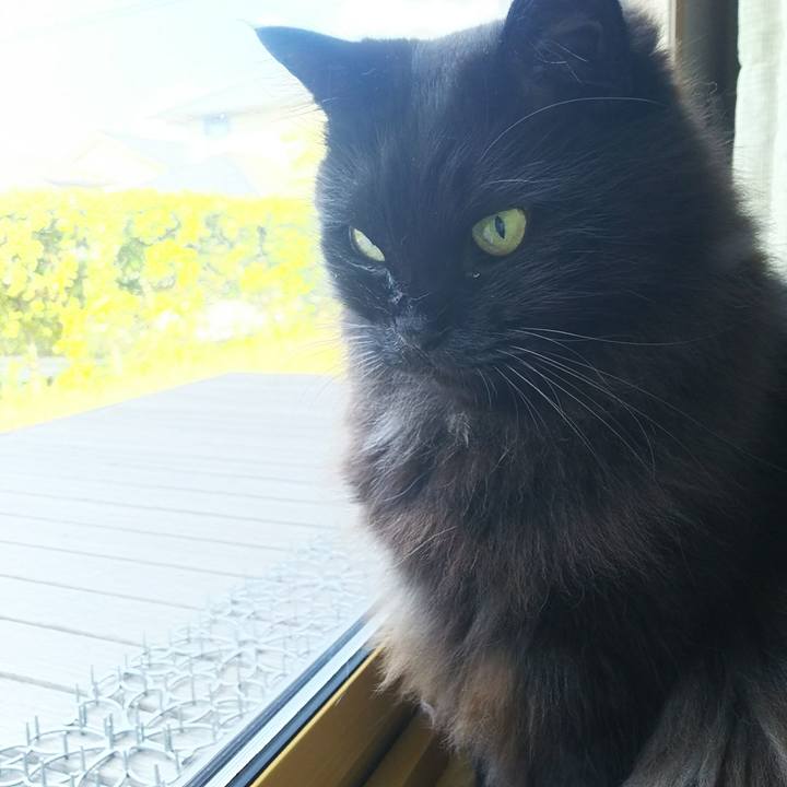 18a25b92 9121 4f6e 929a fbfe8ffaa7db 1529619382762