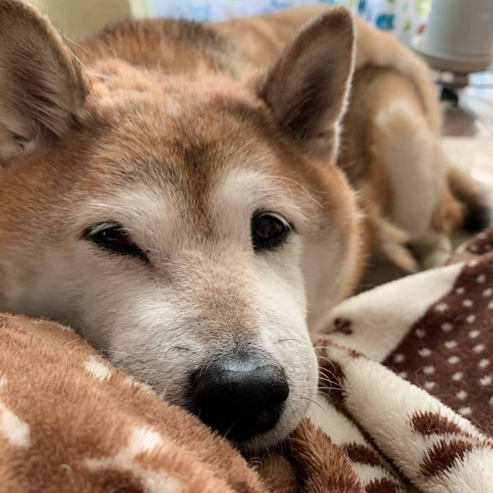 18a26777 95d6 40b1 9519 c853a3e0f14f 1581433851859