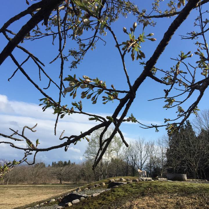 18a2952c 2e13 4ebd b262 cd1d96399b6b 1523172639882