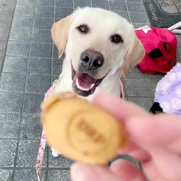 18a2d7e9 9c4e 439b b7d0 fe2ad117e98c 1646209039134