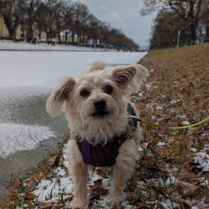 18a2e76a ef0b 4dee ad0d c5794afc3c5f 1767131606531