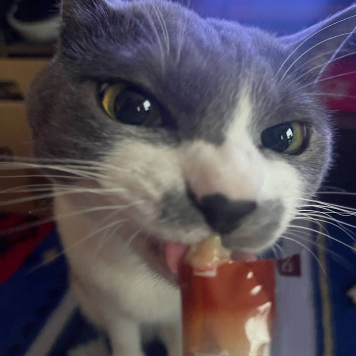 18a30bc2 57e8 47c3 91c3 43226e1a3b1b 1667282806563