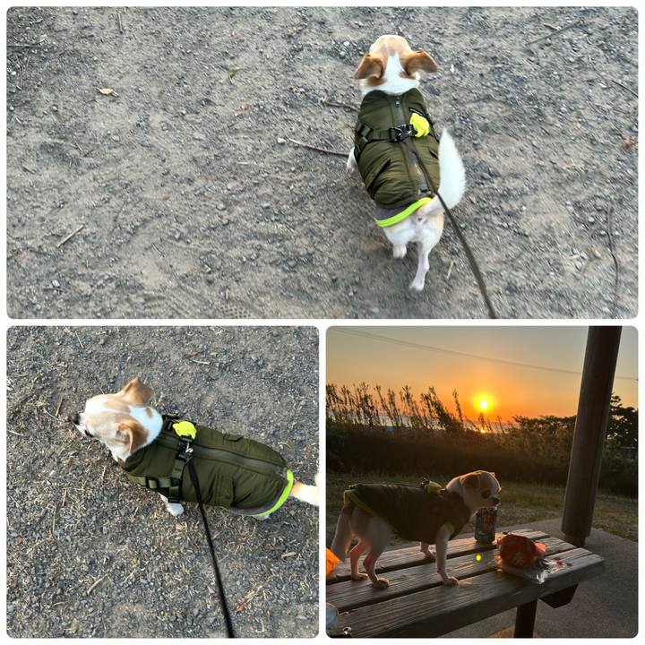 18a32442 1469 4a47 b74d 678ee0a71ec0 1765092433226