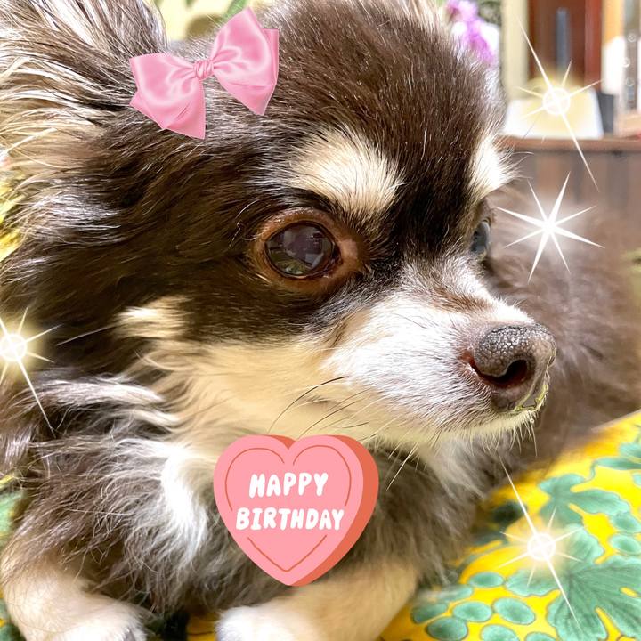 18a33643 f1b6 42ae acab 98d67fb0d0a4 1683247561819