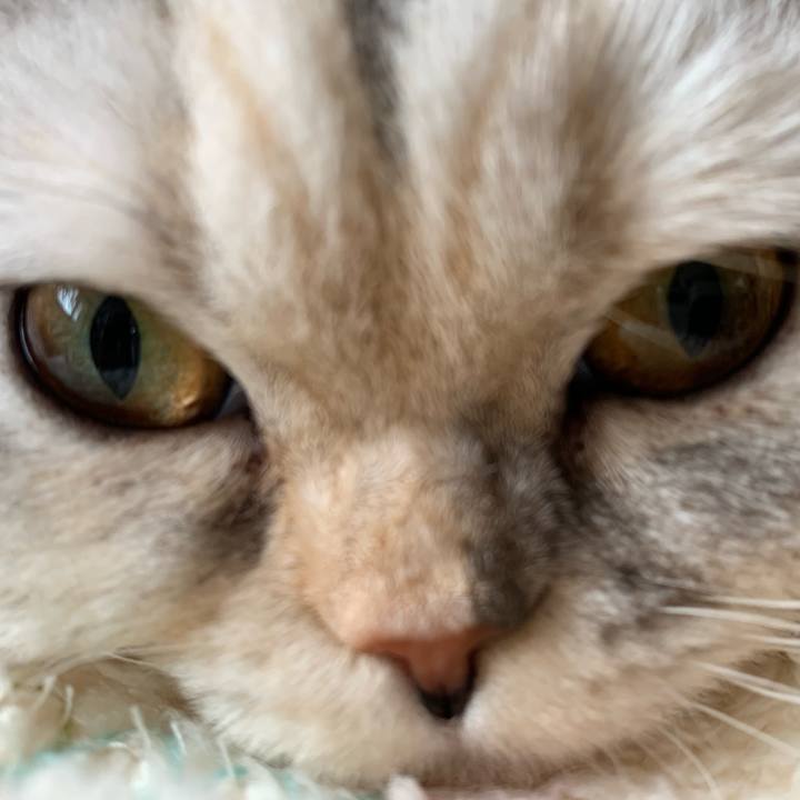 18a35328 ca08 4f9c ab48 f4a22a36a307 1708832237051