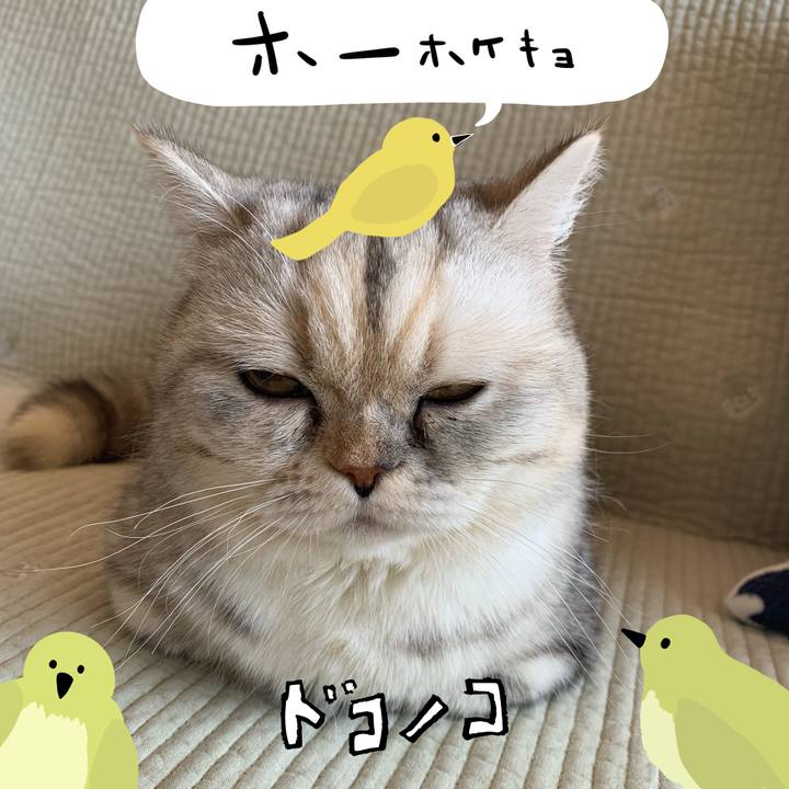 18a37ccc 0f2d 4656 ad52 9d92378d2e23 1711497269720