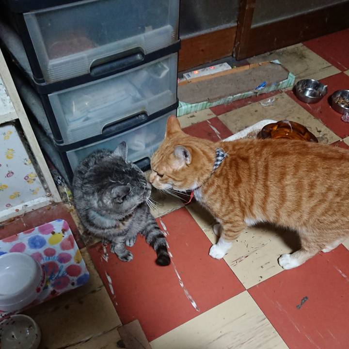 18a386a8 627c 408f 8a33 deb807058617 1572551713158