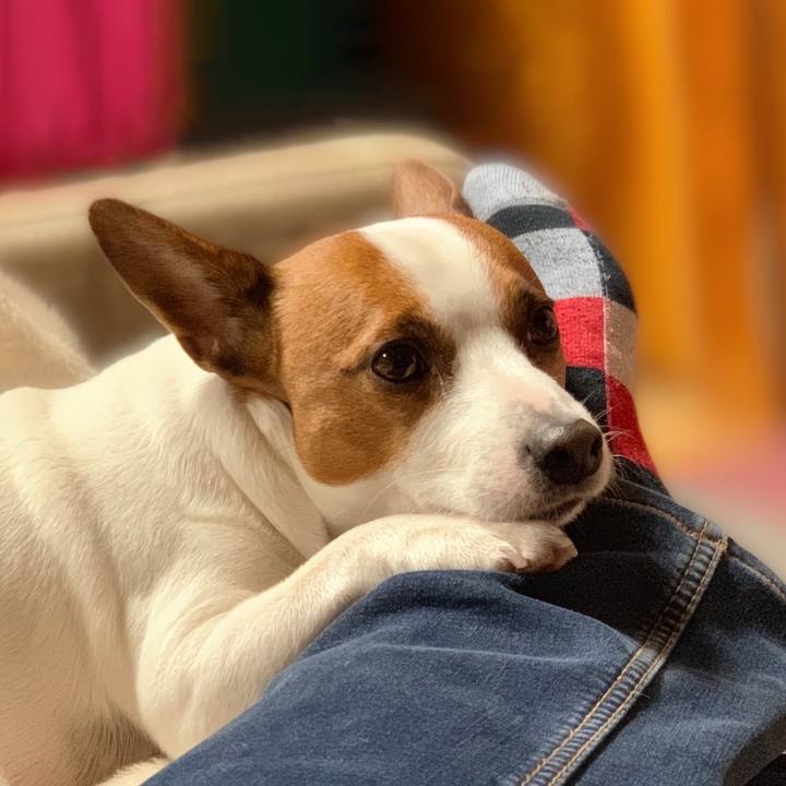 18a3b7e7 b2d9 42ff 92ae 74c4f86d5da1 1545050927093