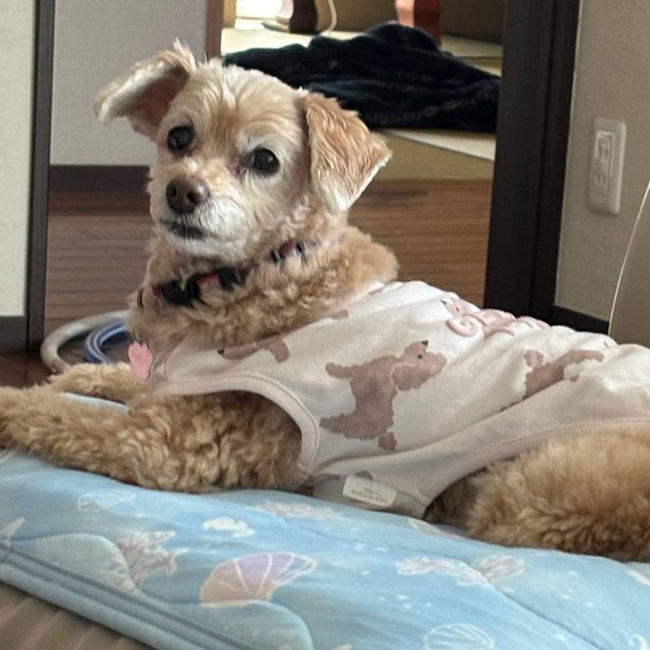 18a3e5a4 63de 4ebe 91ac 9fd4f8948889 1715732591021