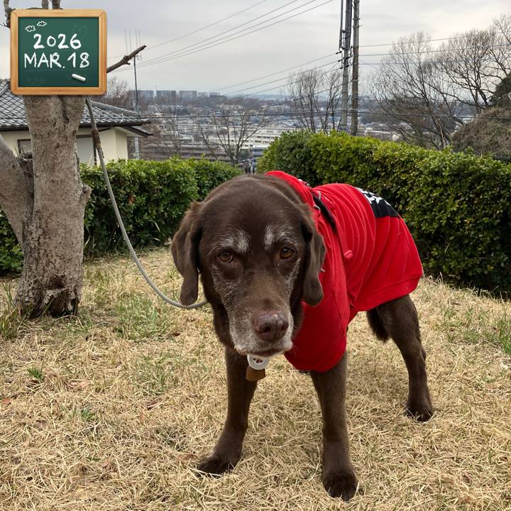 18a405dc 44ee 4fa0 a62c e0af453a433a 1773967309940