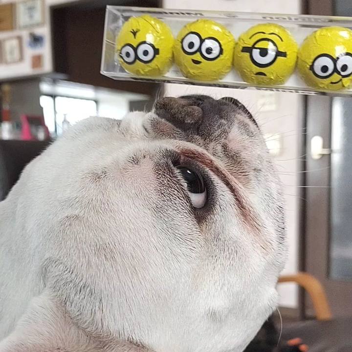 18a4214c ebd8 4d20 9f4e 2d2e4511141d 1676432524028