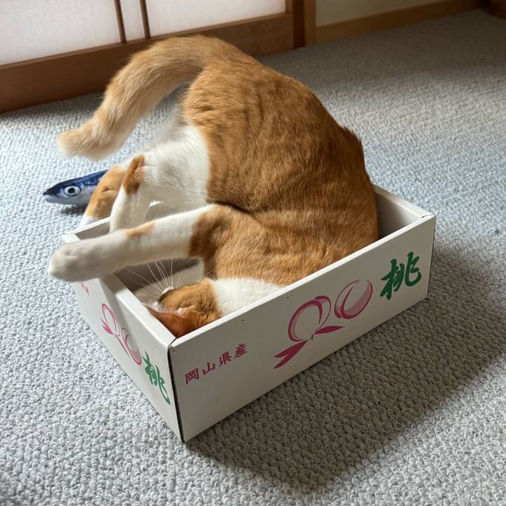 18a428a3 6ded 4175 bd5c ac78991abbc5 1756780772100