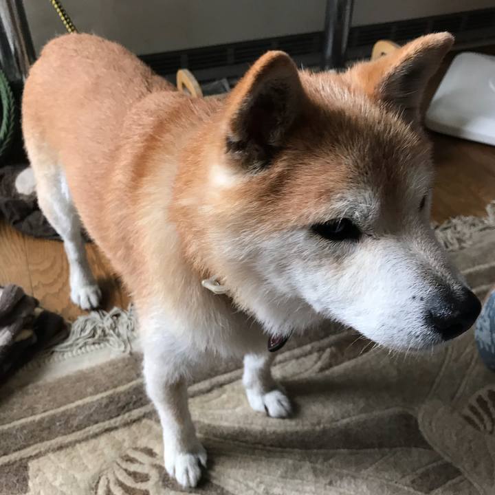 18a436e8 4a19 4ebe 85bd f69750e96072 1534900558468