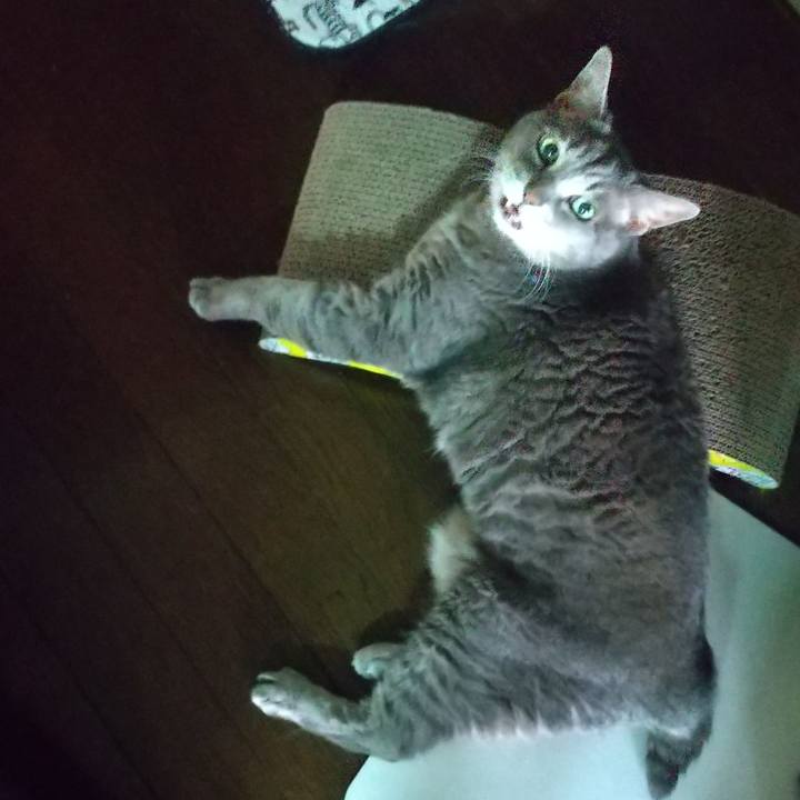 18a43a0a 6c9c 4606 8e41 b22b8bfaffcf 1657355178796