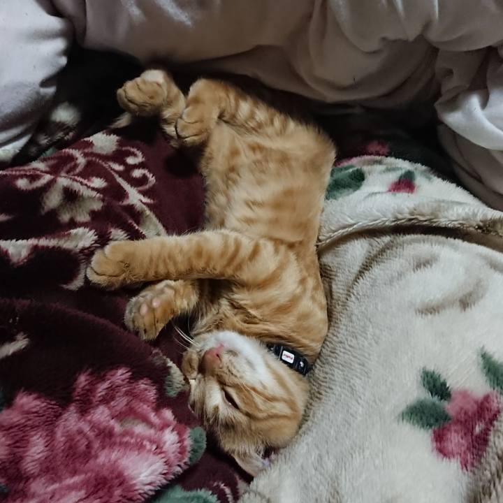 18a46649 f234 4f37 b3fa 5b65b3c0d8a4 1635855971685