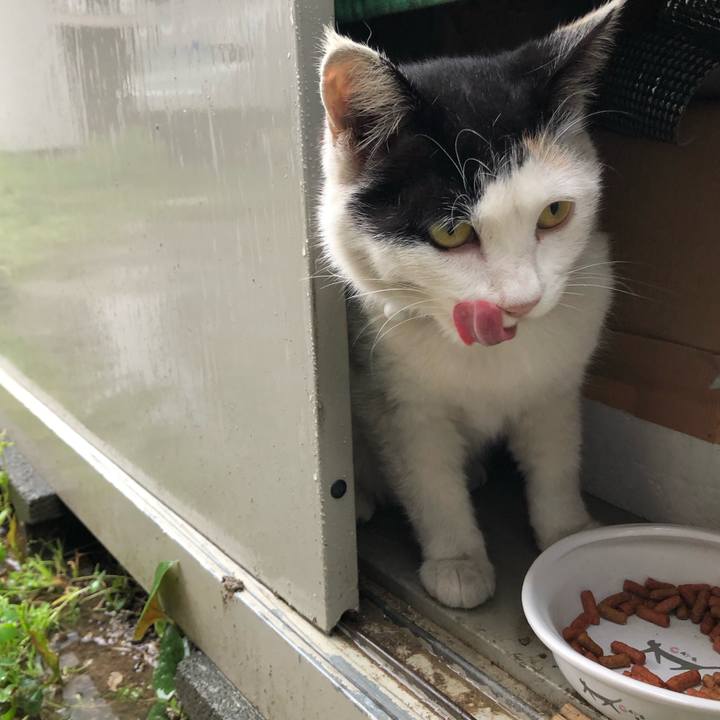 18a46af5 99a6 4ea3 8511 032afb36779d 1617521299163