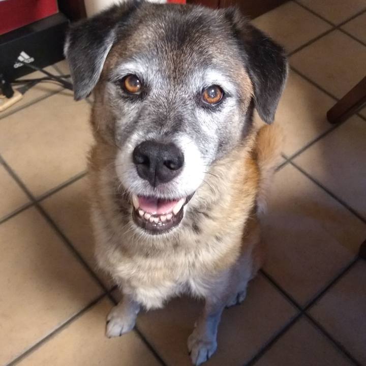 18a4787f 506f 4119 9ac0 44ff86b20fe8 1567593061659